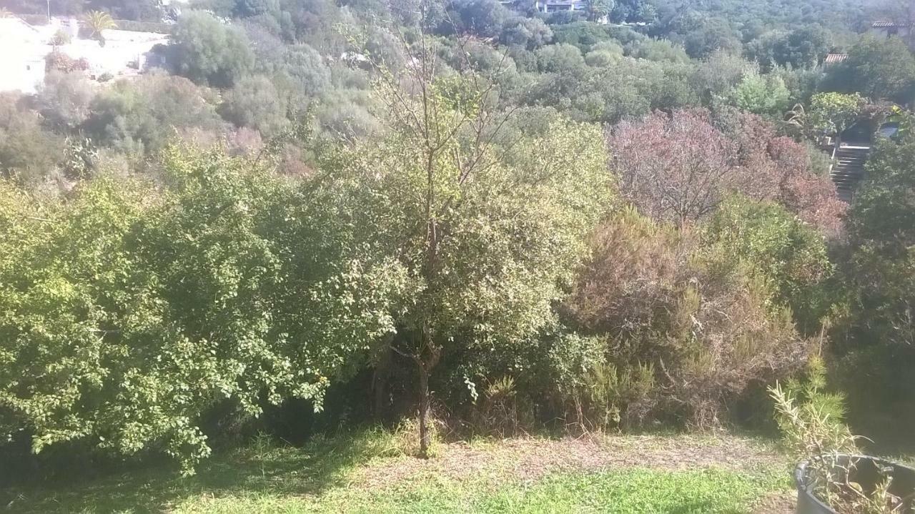 Studio In Porticcio Daire Porticcio  Dış mekan fotoğraf